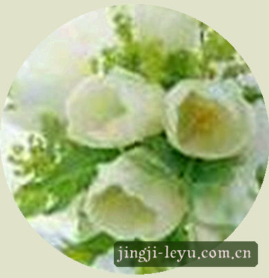 李阳